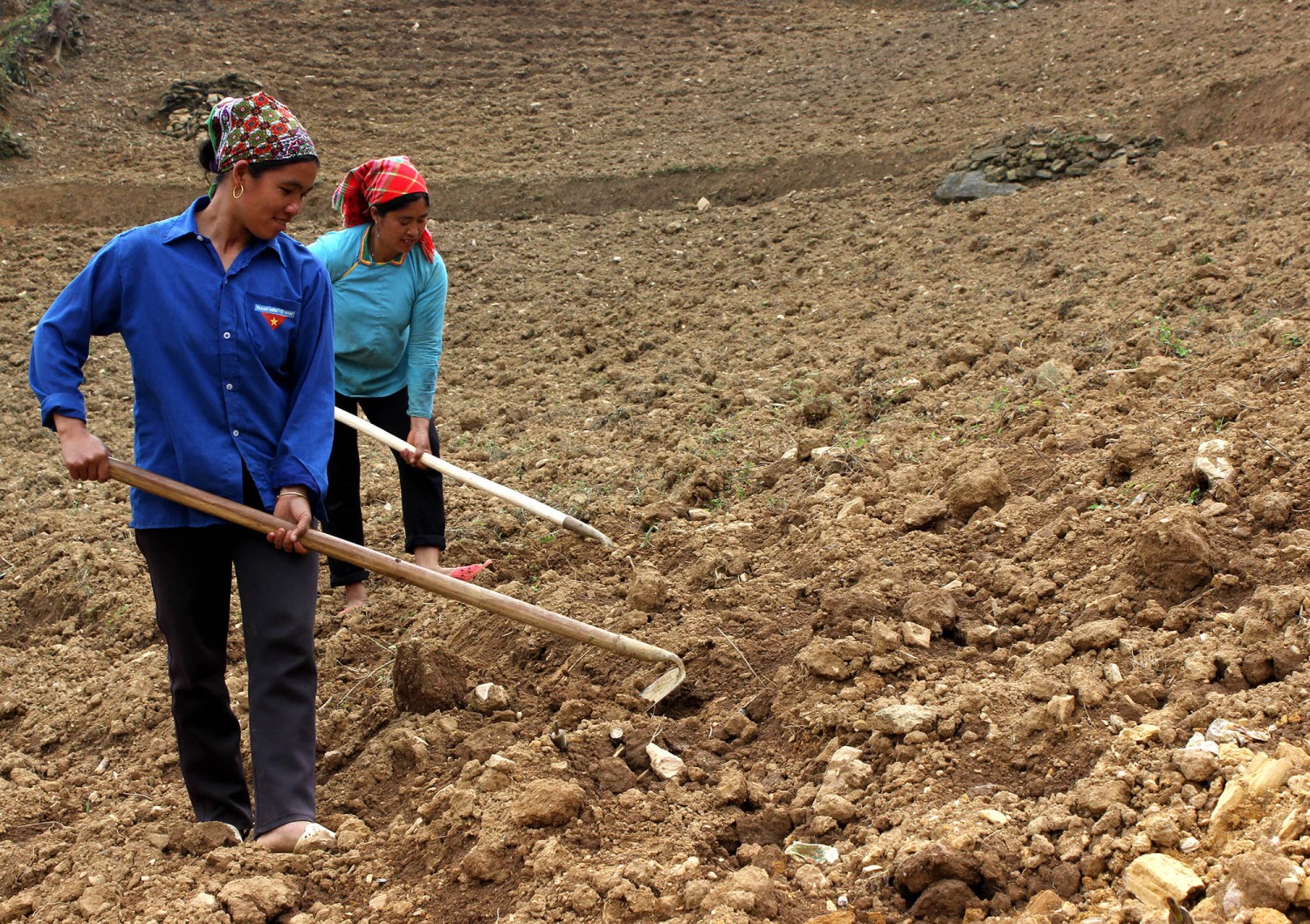 Lào Cai: Hơn 9.000 ý kiến đóng góp dự thảo Luật Đất đai (sửa đổi)